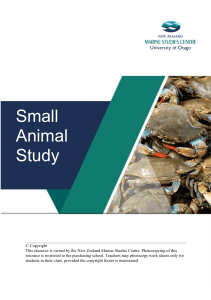 Small Animal Study Booklet 2020