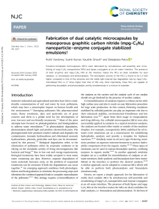 Dual Catalytic Microcapsules: mpg-C3N4 & Enzyme Conjugates