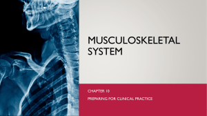 Chapter 10-Musculoskeletal System - Student