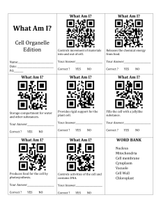 qr codes cell organelle vocabulary