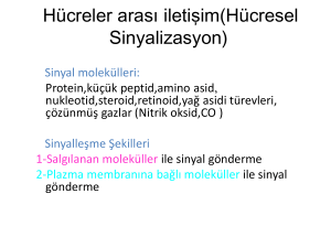 6.hucre etkileşimleri