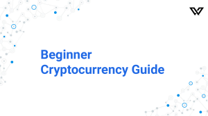 Beginner Book by ABigCryptoMan