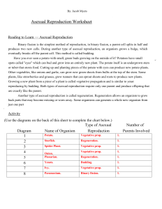 Asexual Reproduction Questions Worksheet Answer Sheet