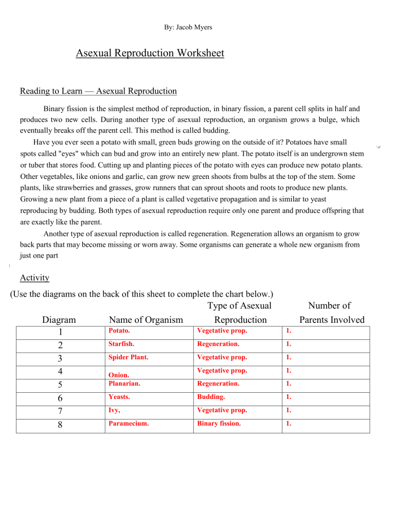 Asexual Reproduction Questions Worksheet Answer Sheet 8965