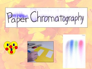 2014 Paper Chromatography of a Spinach Leaf Lab