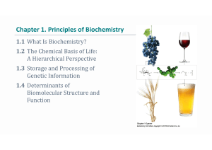 Chapter 1 Principles of Biochemistry