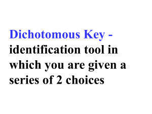 2.17 Dichotomous keys