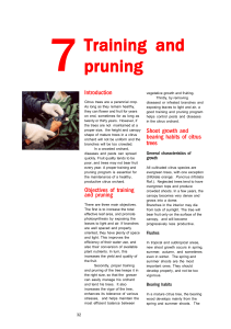 Training and pruning