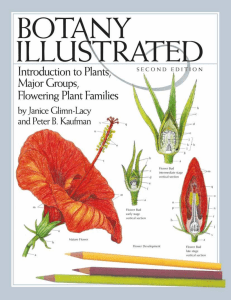 Janice Glimn-Lacy, Peter B. Kaufman - Botany Illustrated  Introduction to Plants, Major Groups, Flowering Plant Families-Springer (2006)