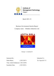Hindalco Business Environment Interim Report