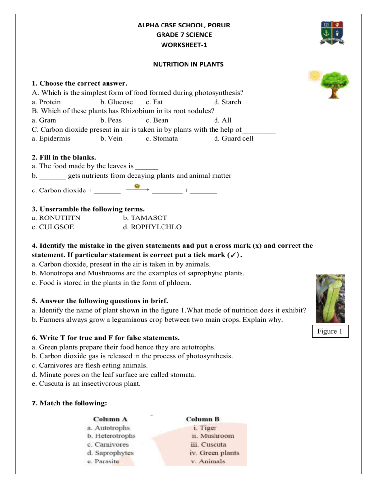 Grade 7 Sci - worksheet 1(nutrition in plants)