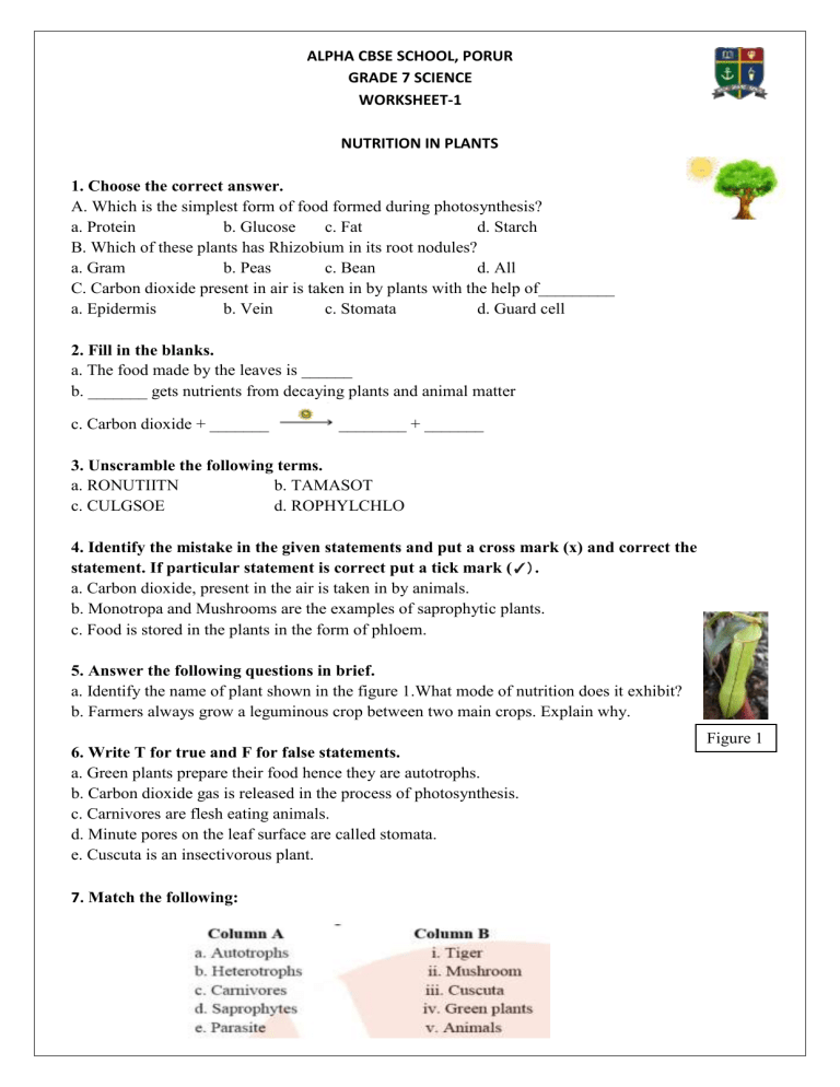 CBSE Class Science MCQs Nutrition In Plants PDF 59 OFF