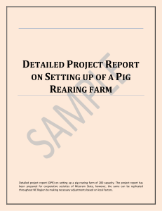 Detailed Project Report on Setting up of a Pig Rearing farm