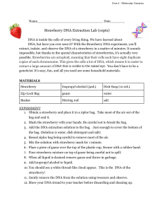 Copy of DNA strawberry Lab