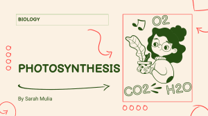 Biology Photosyntesis