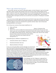 Hearing loss essay