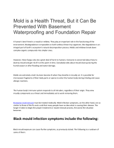 Mold is a Health Threat