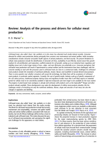 Cellular Meat Production: Process, Drivers, and Challenges