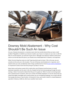 Downey Mold Abatement