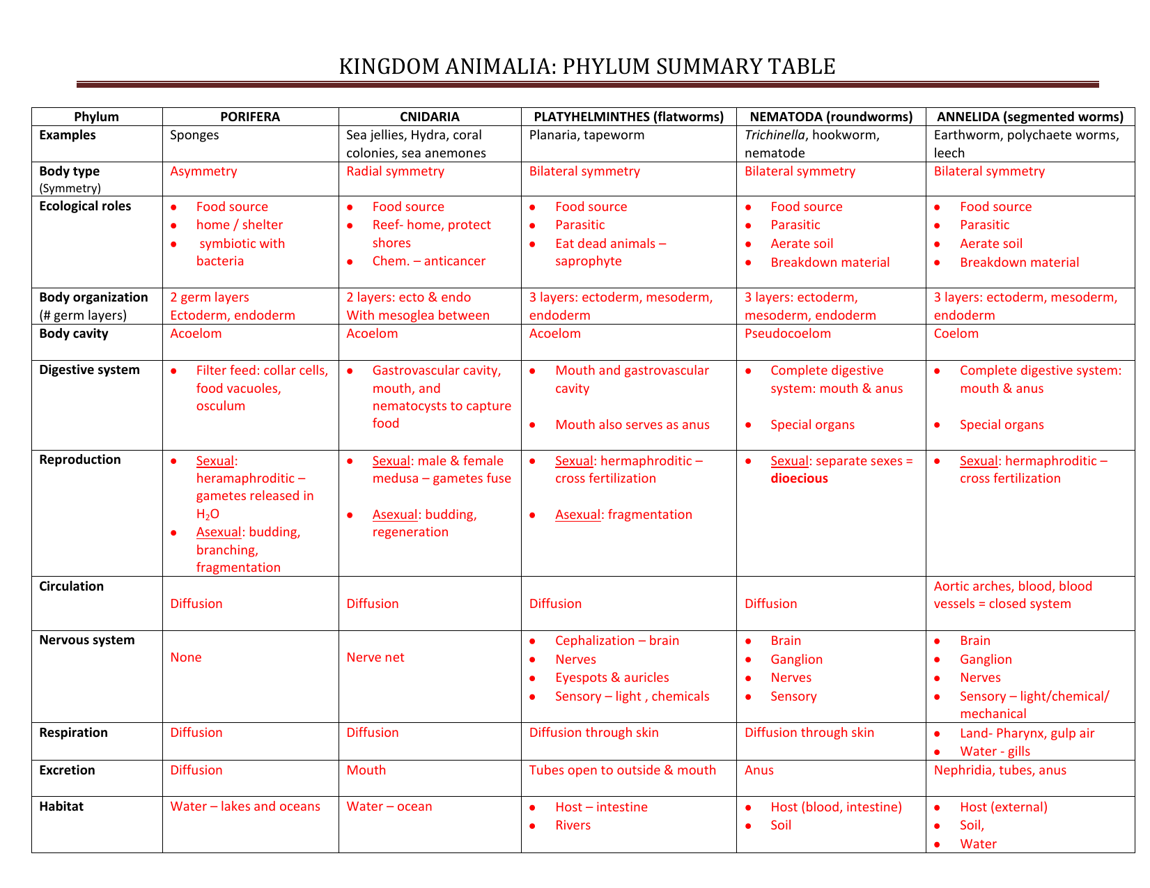 Kingdom Animalia Phylum summary table ANSWERS