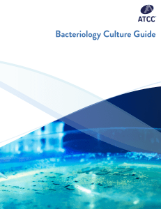 Bacterial Culture Guide