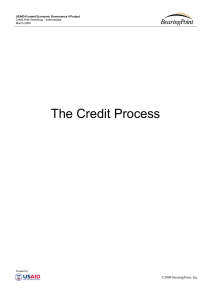 The Credit Process