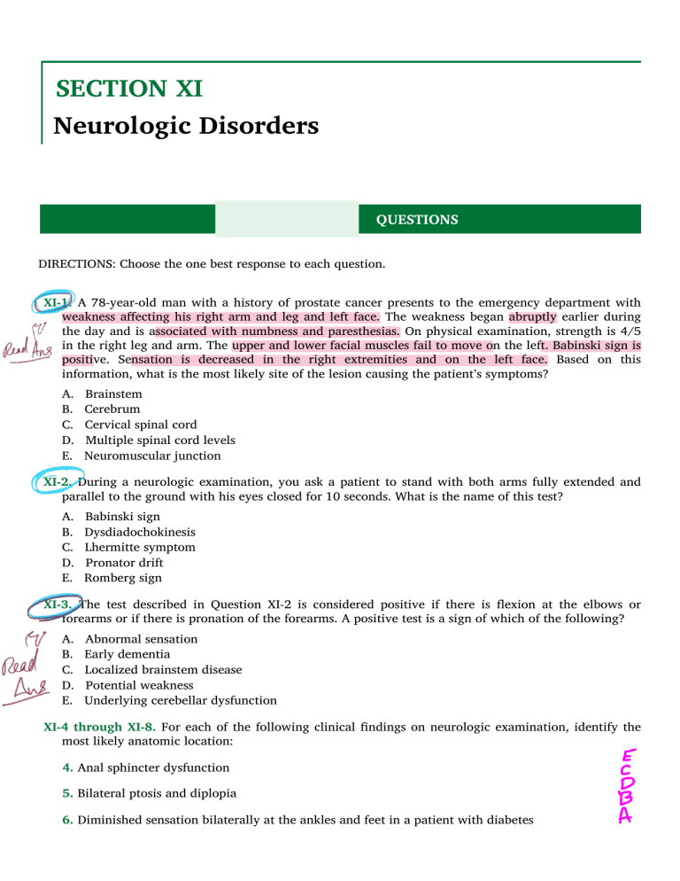 mpt neuro thesis pdf