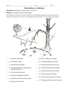 Observations and Inferences Worksheet