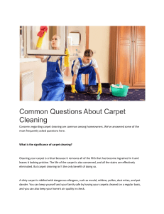 Common Questions About Carpet Cleaning