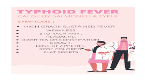 typhoid poster.ppx