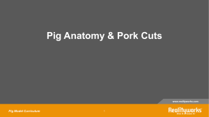 Lesson One - Pork Cuts