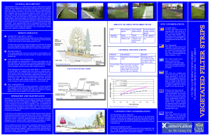 Vegetated-Filter-Strips