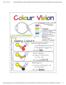 Colour Vision Notes