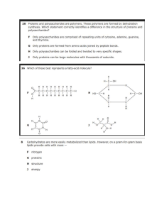 Biology Exam Questions: Macromolecules