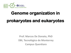AATO-M2-Genome organization in prokaryotes and eukaryotes 