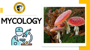 F6 Mycology