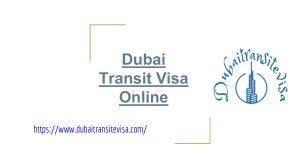 Dubai Transit Visa Online (2)