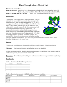 Transpiration lab activity