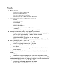 Anemia Study guide