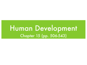 development powerpoint