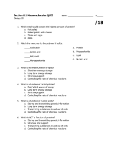 Section 6.1 Macromolecules Quiz