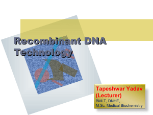 recombinantdnatechnology-150623075354-lva1-app6891