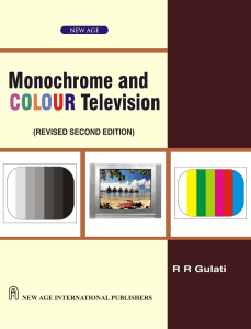 monochrome colour television