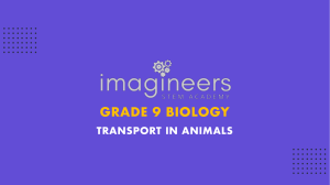 G9 Biology - Transport in Animals - Part 1