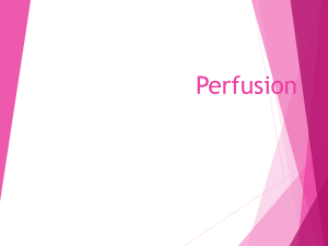 Perfusion Part 1 