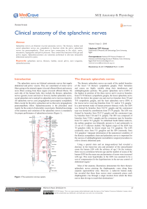 Splanchnic nerves