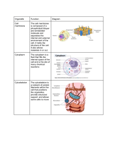 Cell organelle table
