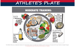 Athlete Plates Moderate Day Handout