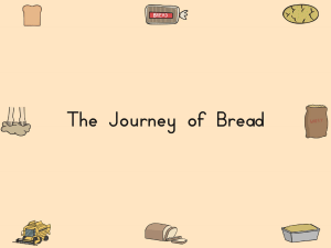 The-Journey-of-Bread