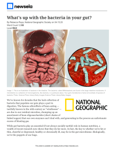 Whats Up with the Bacteria in Your Gut - Article